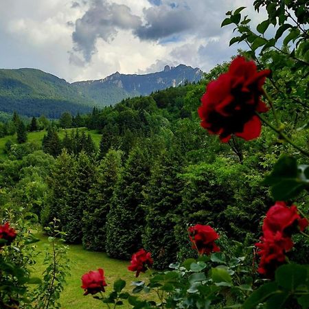 Cabana Dochita Ceahlău Buitenkant foto